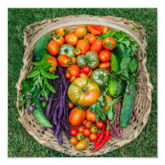 Impression Photo Panier de récolte de légumes