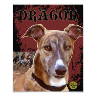 Impression Photo Papier gris