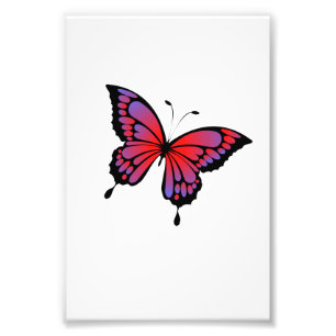 Impression Photo Papillon