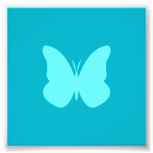 Impression Photo papillon aqua