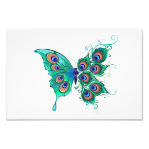 Impression Photo Papillon aux plumes de paon vert