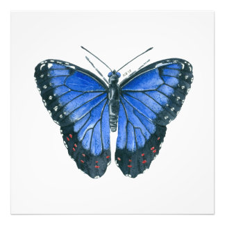 Impression Photo Papillon bleu Morpho aquarelle peinture