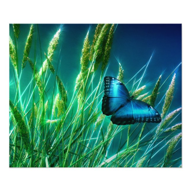 Impression Photo Papillon bleu Morpho sur herbe verte (Devant)