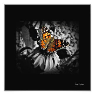 Impression Photo Papillon dame peint SC Art