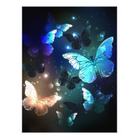 Papillon de nuit