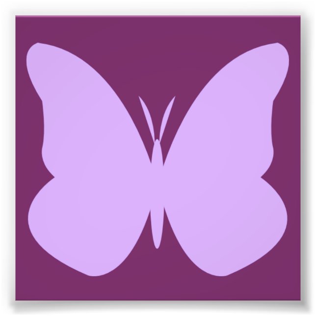 Impression Photo papillon lilas (Devant)