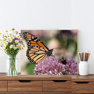 Impression Photo Papillon monarque et bourdon sur Joe Pye Weed