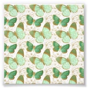 Impression Photo Papillon Vert Fleur Florale Fleurir