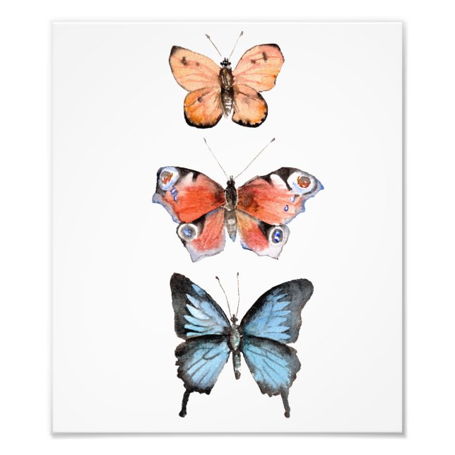 Impression Photo Papillons (Devant)