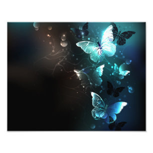 Impression Photo Papillons de nuit