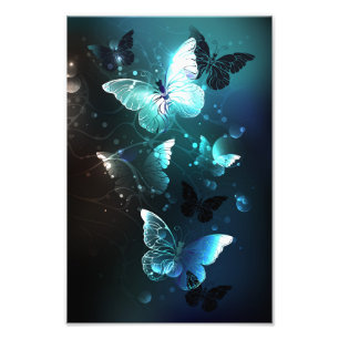 Impression Photo Papillons de nuit