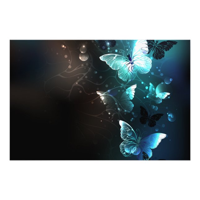 Impression Photo Papillons de nuit (Devant)