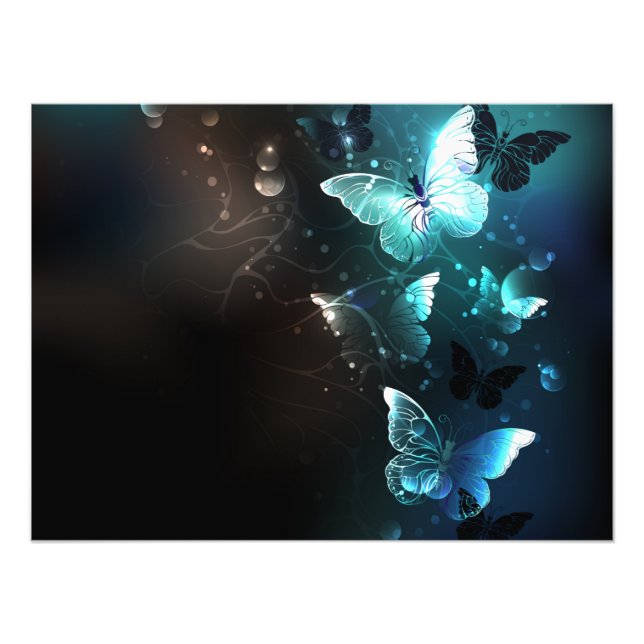 Impression Photo Papillons de nuit (Devant)