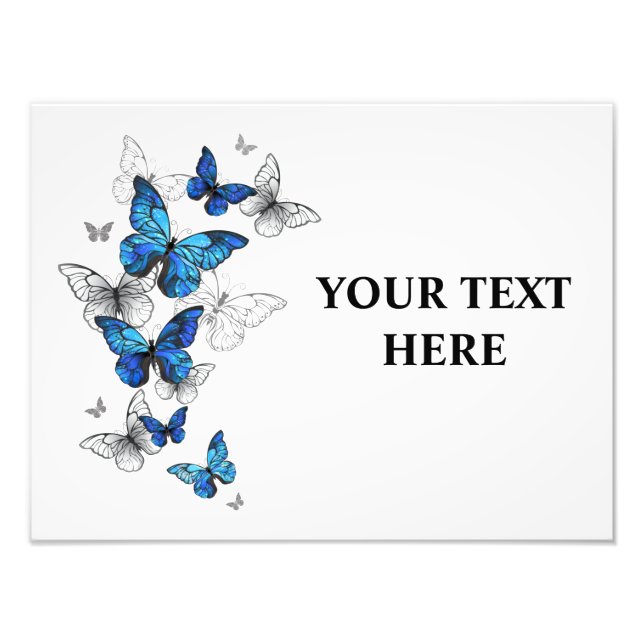 Impression Photo Papillons volants bleus Morpho (Devant)