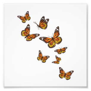 Impression Photo Papillons volants - Gardener à papillon Ento