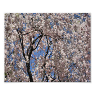 Impression Photo Parapluie de fleurs du printemps
