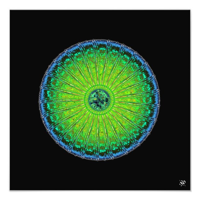 Impression Photo Parapluie de méduses (Devant)