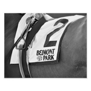 Impression Photo Parc Belmont depuis 1905