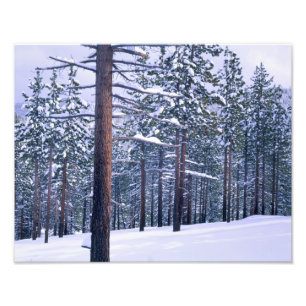 Impression Photo PARC D'ÉTAT DU LAC TAHOE, NEVADA. USA. Neige fra