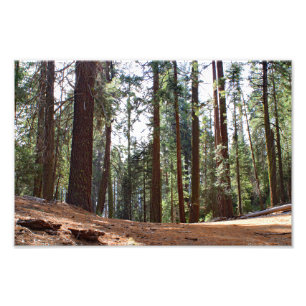 Impression Photo Parc national de Kings Canyon