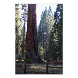 Impression Photo Parc national de Kings Canyon
