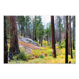 Impression Photo Parc national de Kings Canyon