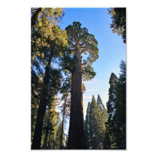 Impression Photo Parc national de Kings Canyon