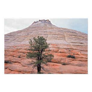 Impression Photo Parc national de Mesa Zion Checkerboard