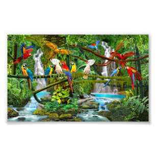 IMPRESSION PHOTO PAROIS EN PARADIS