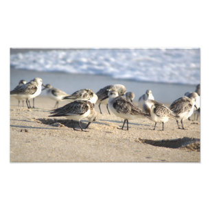 Impression Photo Partie de plage. Admission de SebastiAn