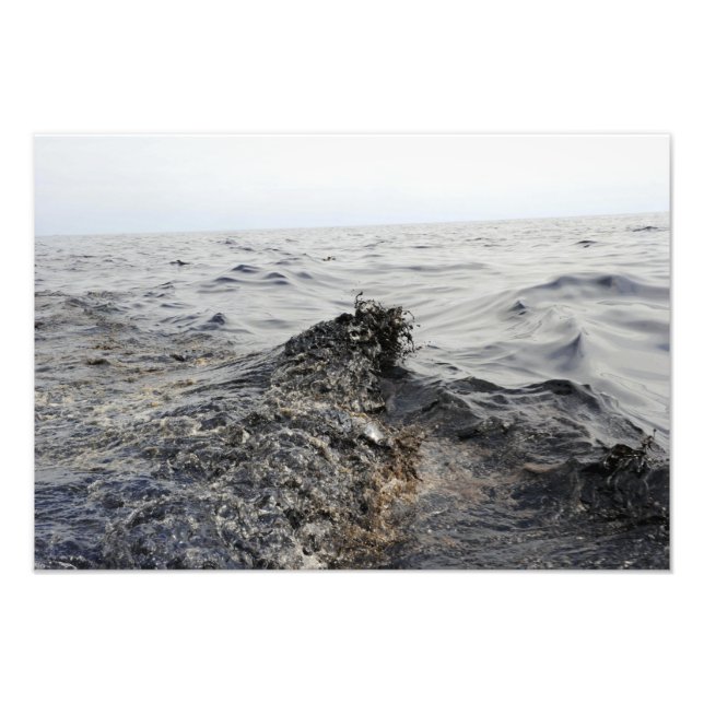 Impression Photo Partie d'une nappe de pétrole dans le golfe du Mex (Devant)