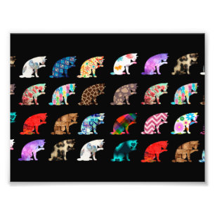 Impression Photo Patters de Cat Licking