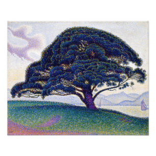 Impression Photo Paul Signac - Le pin de Bonaventure
