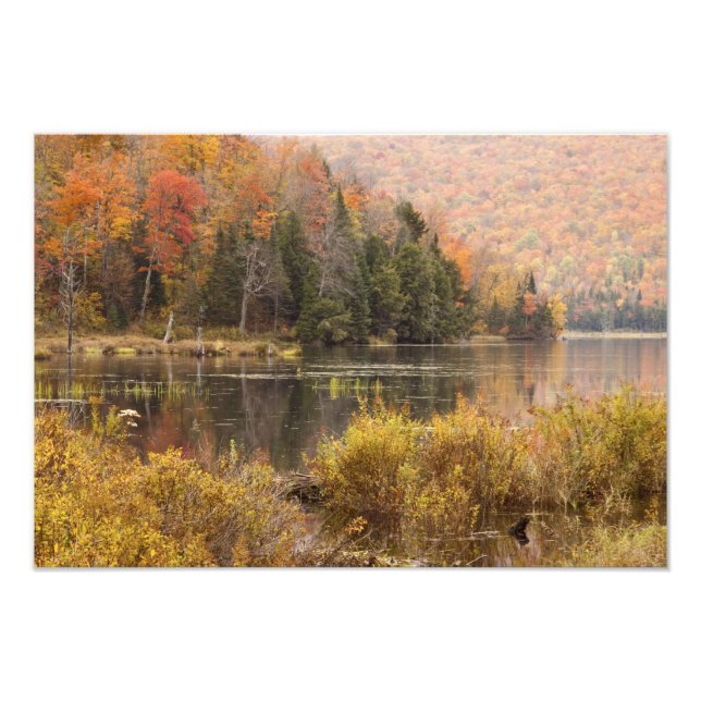Impression Photo Paysage d'automne avec lac, Vermont, USA 2 (Devant)