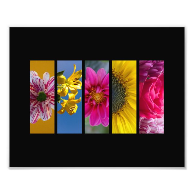 Impression Photo Paysage de fleurs de macro rose et jaune (Devant)