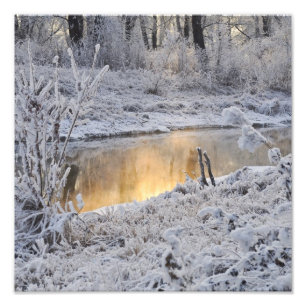 Impression Photo Paysage hivernal blanc neige avec reflet lumineux