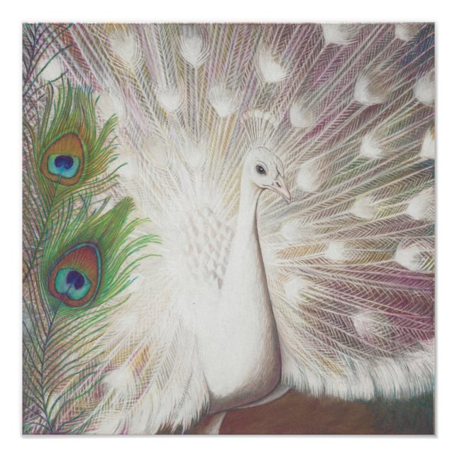 Impression Photo Peacock blanc et Peacock vert Piment art Imprimer (Devant)