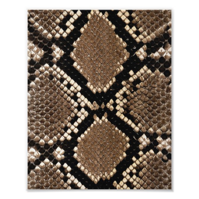 Impression Photo Peau de serpent à sonnette Diamond Back (Devant)