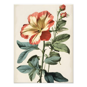 Impression Photo Peinture florale en Hibiscus rouge et jaune vif