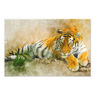 Impression Photo Peinture sur tigre