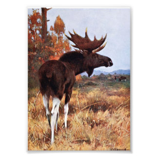 Impression Photo Peinture vintage d'orignal
