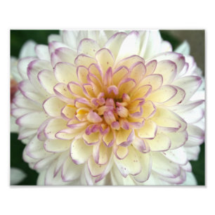 Impression Photo pelucheux