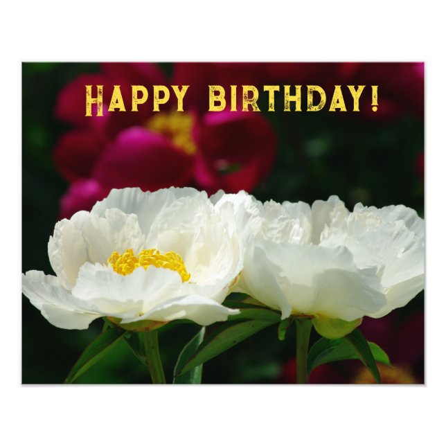 Impression Photo Peony/Flower Magic/Fleur blanche/Joyeux anniversai (Devant)