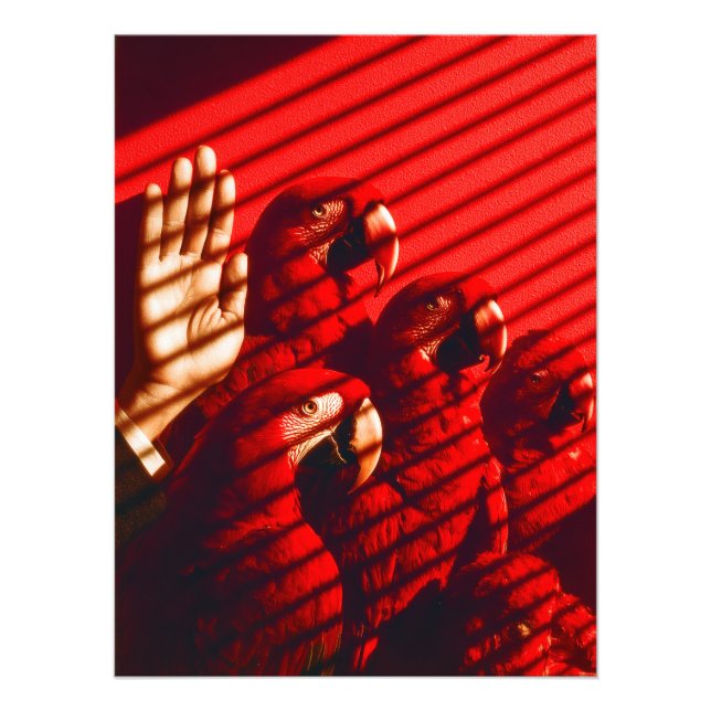 Impression Photo Perroquets rouges et main (Devant)