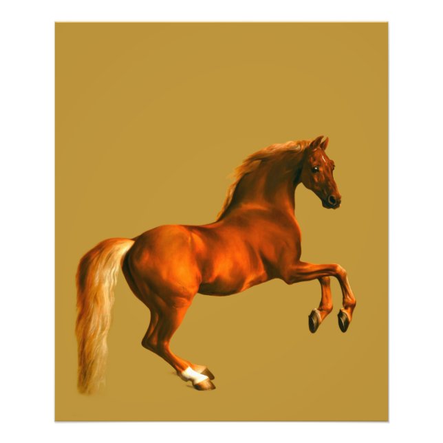 Impression Photo Petit-fils de Godolphin Arabian (Devant)