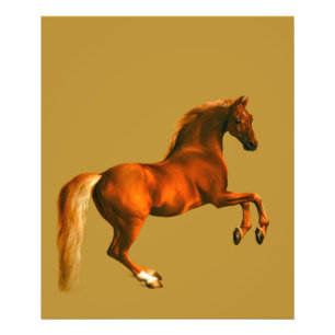 Impression Photo Petit-fils de Godolphin Arabian