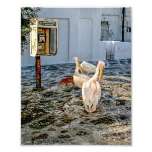 Impression Photo Petros