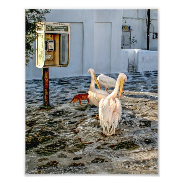 Impression Photo Petros (Devant)