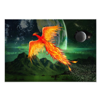 Impression Photo Phoenix volante haute