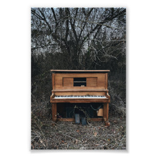 Impression Photo Piano gentil